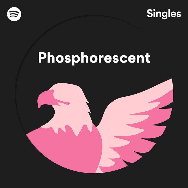 SPOTIFY SINGLES (2019)